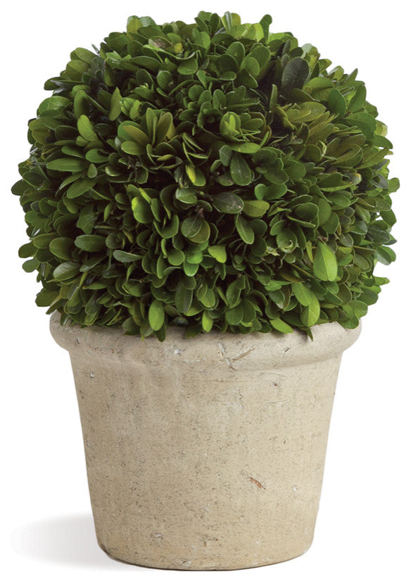 Elegant 12 in Ball Topiary in Pot Preserved Boxwood Greenery Faux Floral English