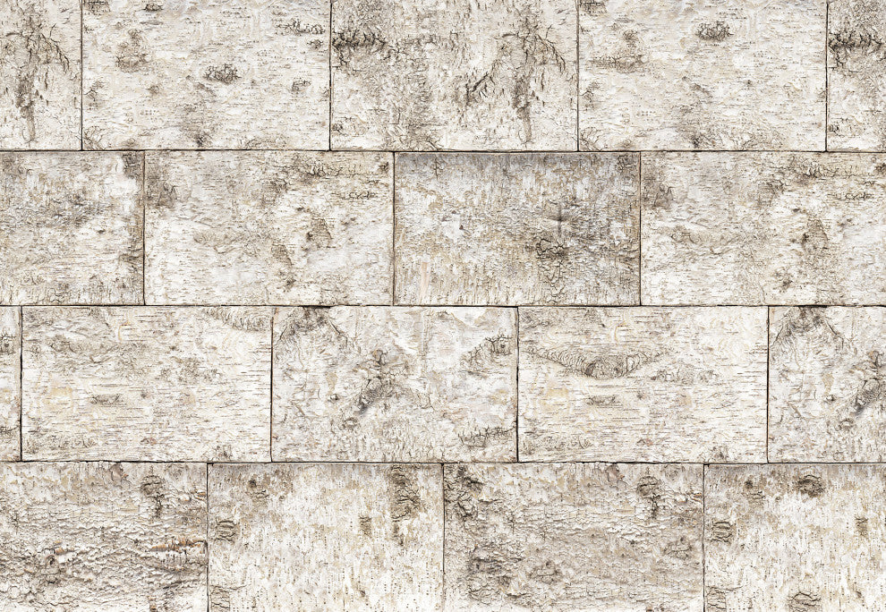 Birch Mural 8-740 by Komar