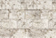 Birch Mural 8-740 by Komar