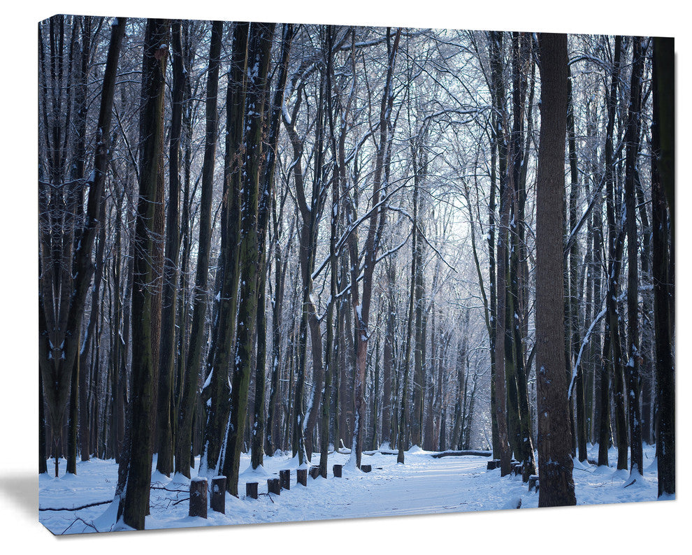 Thick Woods in Winter Forest, Modern Forest Canvas Art, 60"x28"