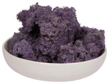Vickerman Natural Botanicals Reindeer Moss, Violet, 2 Lb.