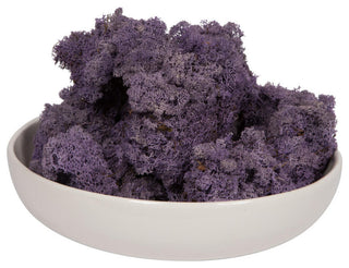 Vickerman Natural Botanicals Reindeer Moss, Violet, 2 Lb.
