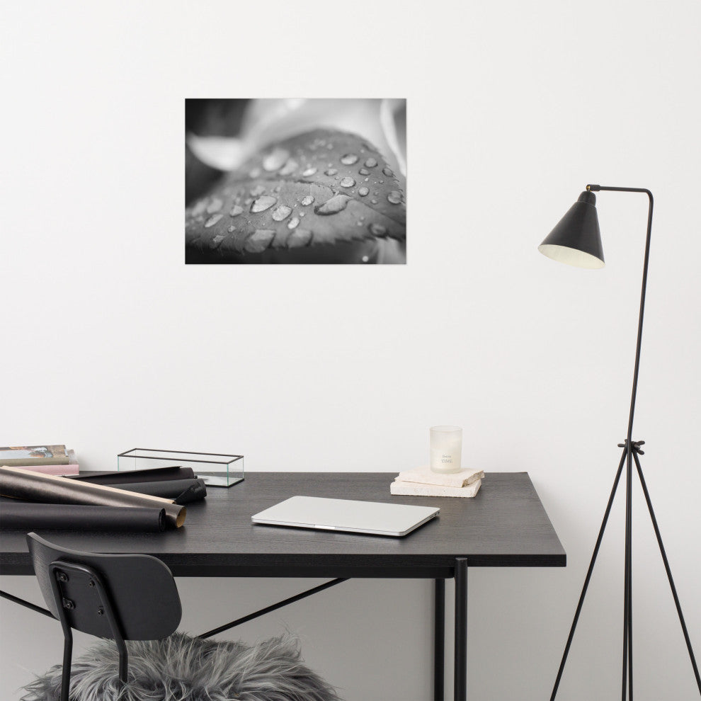 Dew on Leaf of Rose Plant Black & White Botanical Unframed Wall Art Print, 18" X 24"