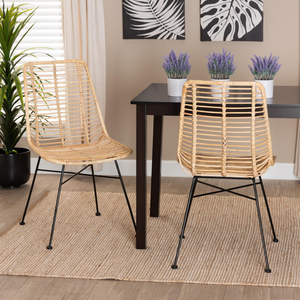 Rosalin Rattan and Metal Dining Chairs, Set of 2
