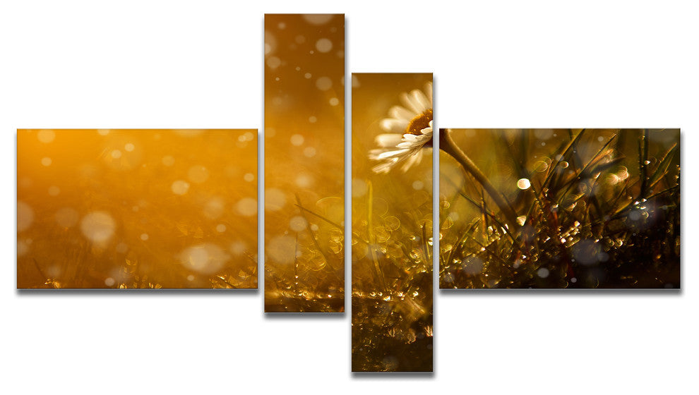 Forest After Rain during Sunset, Large Floral Canvas Print, 60"x32", 4 panels