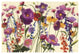 "Couleur Printemps I Crop" Digital Paper Print by Shirley Novak, 62"x42"