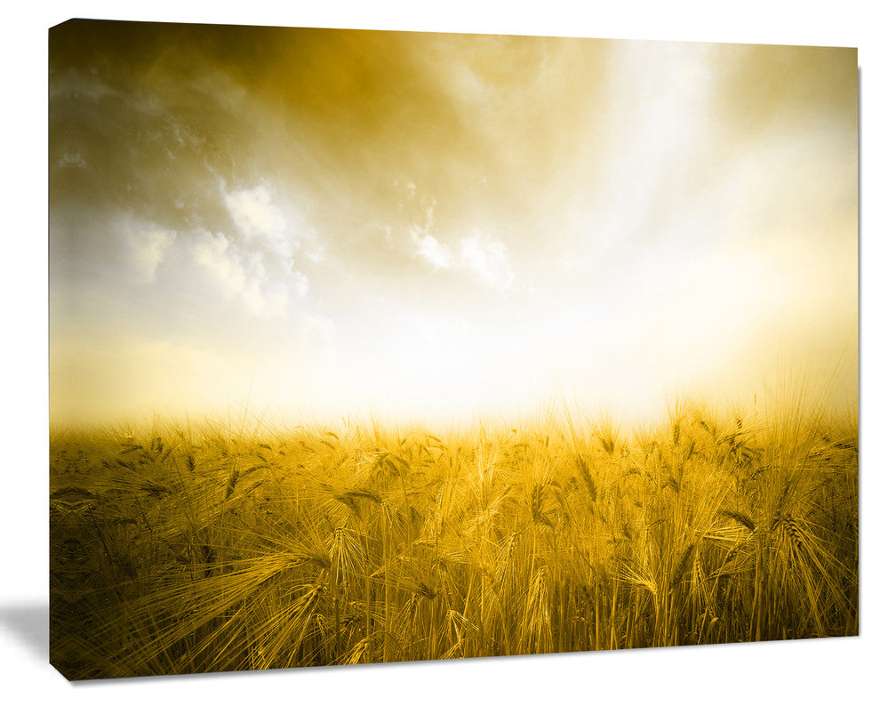 Yellow Meadow under Bright Sun, Large landscape Canvas Art Print, 60x40
