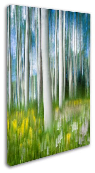 Michael Blanchette Photography 'Aspen Impression' Canvas Art, 16"x24"