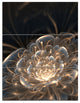 "Fractal Flower With Golden Rays" Canvas Art Print, 3 Panels, 28"x36"