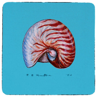 Nautilus Coaster - 3 Sets of 4 (12 Total)