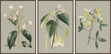 Tiny Blooms Triptych, 90x45