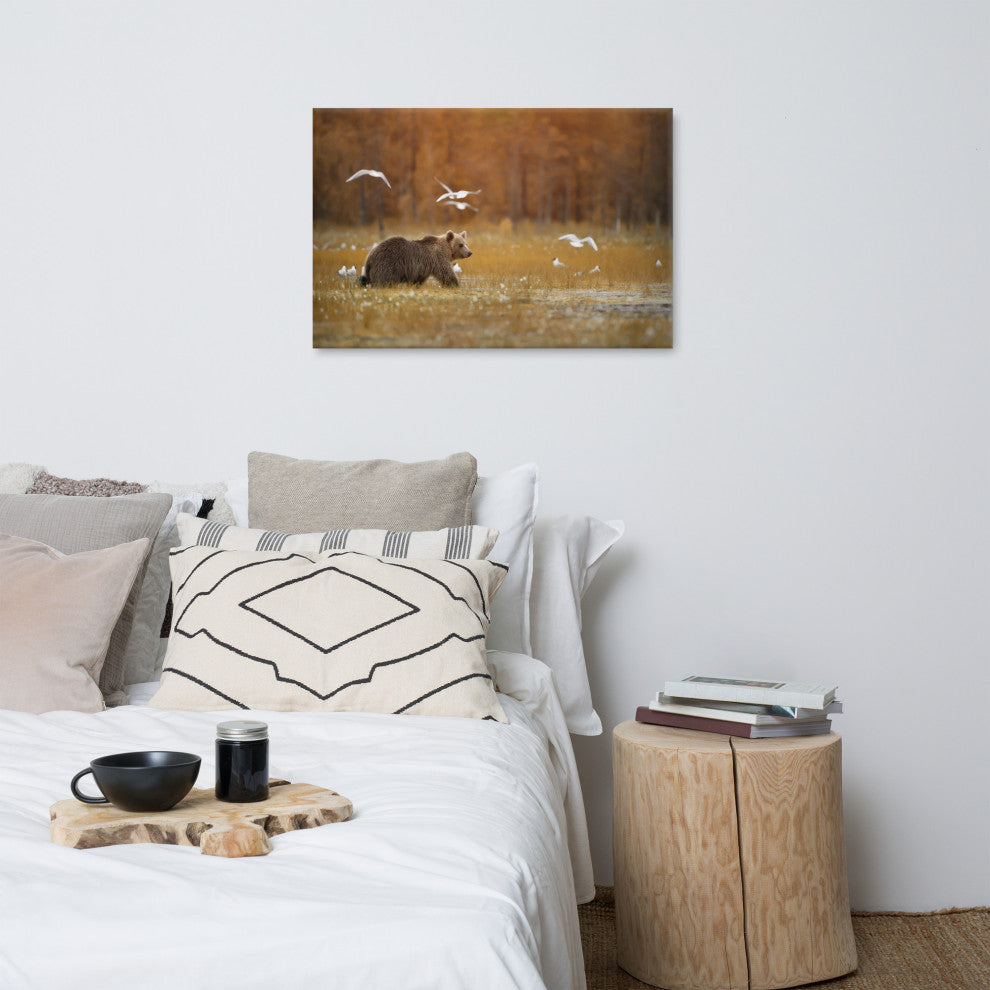 Brown Bear Crossing Marshlands Wildlife Landscape Photo Canvas Wall Art Print, 24" X 36"