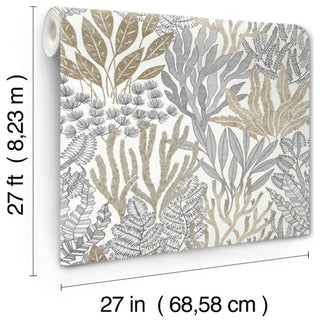 Coral Leaves Taupe and Black Wallpaper