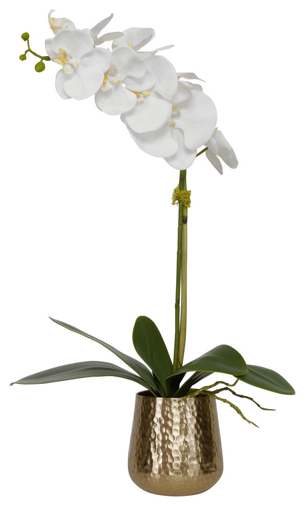 Cami Orchid With Brass Pot
