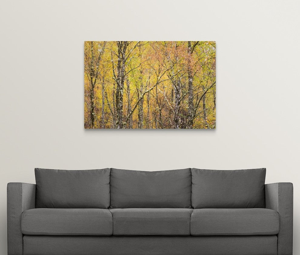 "Golden Tapestry" Wrapped Canvas Art Print, 48"x32"x1.5"