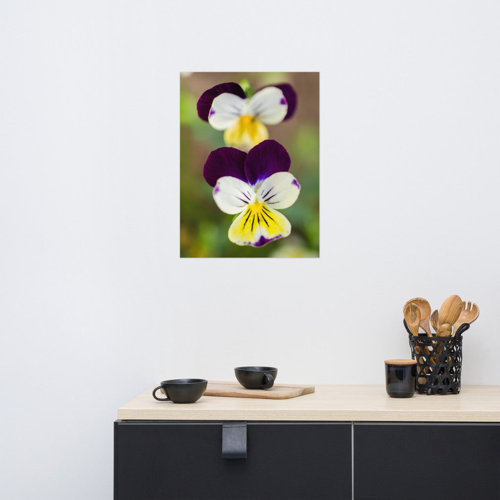 Pretty Little Violets Floral / Botanical Photograph Unframed Wall Art Prints, 18" X 24"