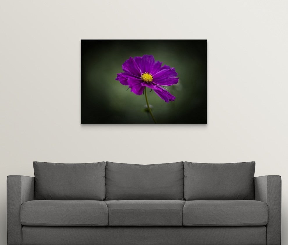 "Cosmos" Wrapped Canvas Art Print, 48"x32"x1.5"