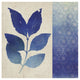 "Indigo Leaves I" Digital Paper Print by Studio Mousseau, 42"x42"