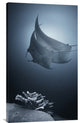 "Sonata" Stretched Canvas Giclee by Andrey Narchuk, 18x30"