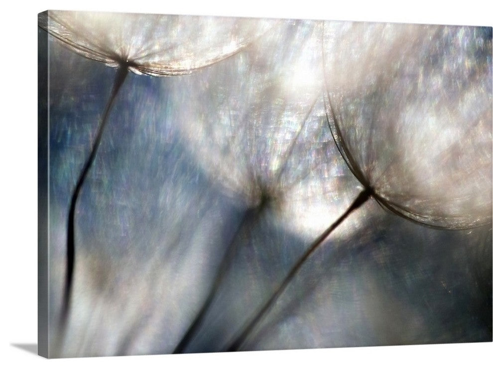 "Carefree " Wrapped Canvas Art Print, 48"x32"x1.5"