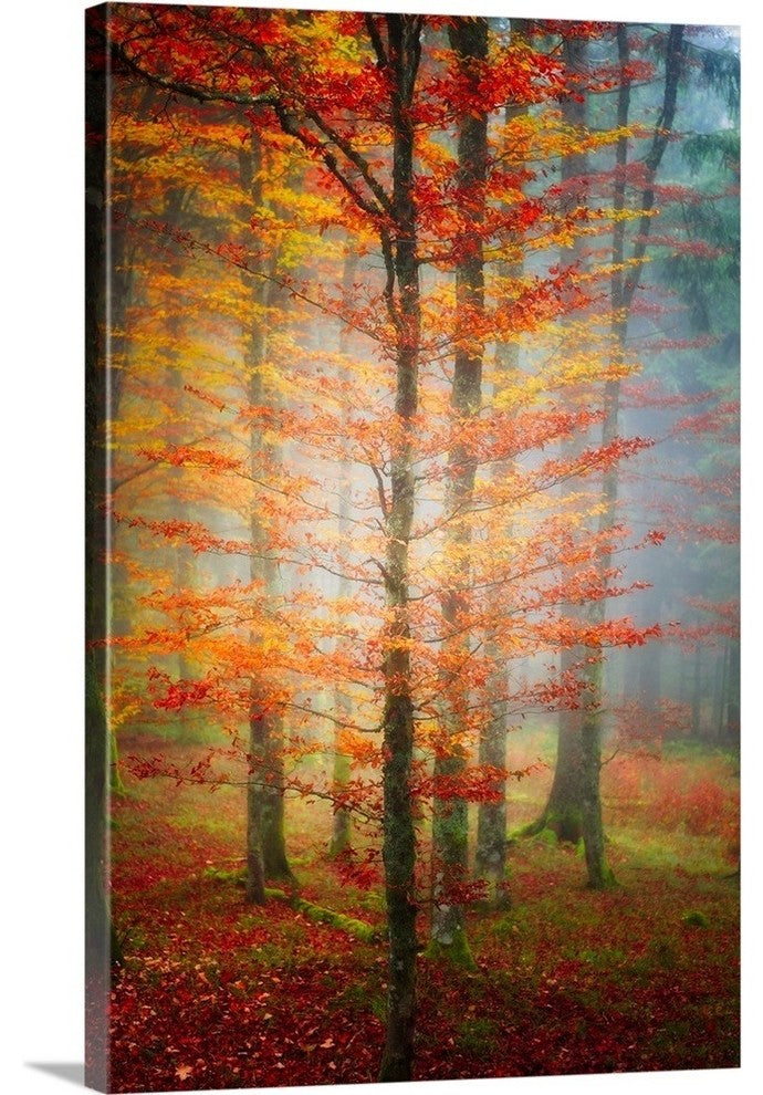 "Autumn's End" Wrapped Canvas Art Print, 16"x24"x1.5"