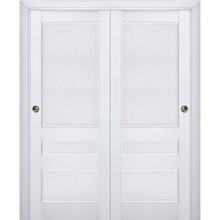 Sliding Bypass Doors 64 x 84, Veregio 7411 White