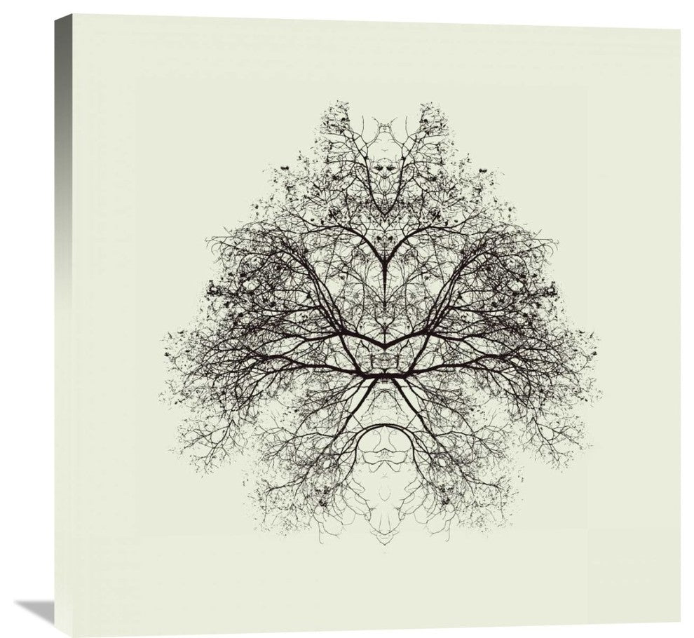 "Rorschach Test" Stretched Canvas Giclee by Nadav Jonas, 30x30"