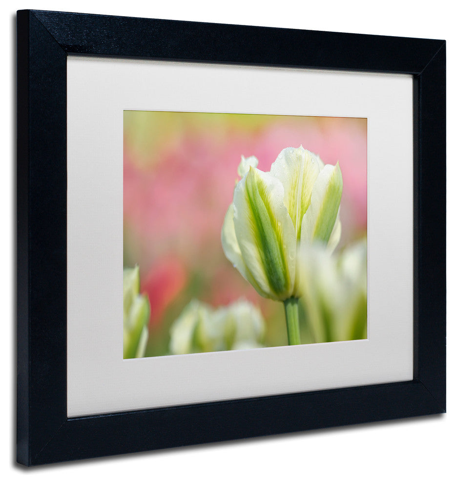 Cora Niele 'White and Green Tulip' Matted Framed Art