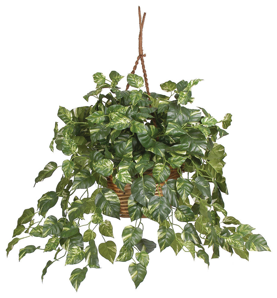 Pothos Hanging Basket Silk Plant
