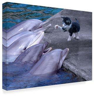 "Kitty Kitty" by Ata Alishahi, Canvas Art, 47"x35"