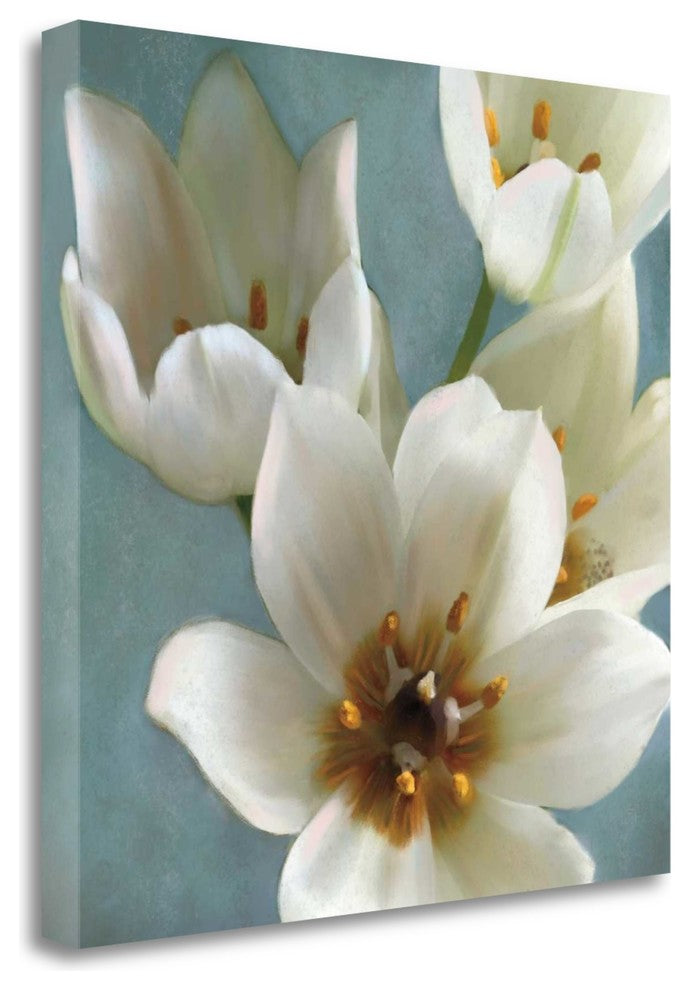 "Lily Parfait II" By Janel Pahl, Giclee Print on Gallery Wrap Canvas