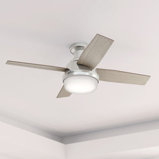 Hunter 44" Dempsey Low Profile Brushed Nickel Ceiling Fan, LED Kit and Remote