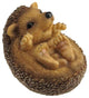 Baby Hedgehog Sitting Up and Head Tilting Right