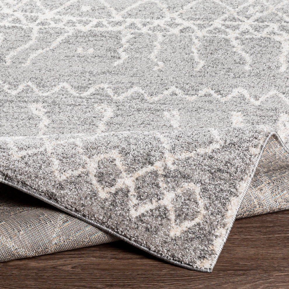 Surya Andorra ARD-2304 5'3" x 7'3" Rug