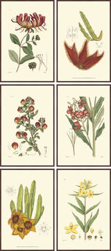Colors of Fall Hexaptych, 40x90