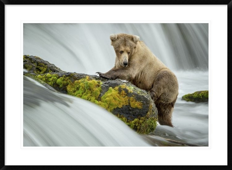 "Left Wanting" Framed Digital Print by Renee Doyle, 38"x28"
