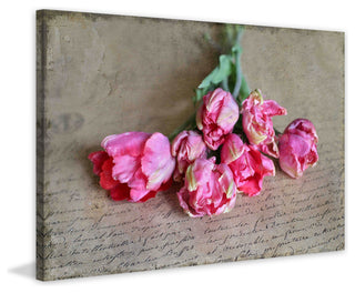 "Tulip Still Life" Print on Canvas by Sylvia Cook