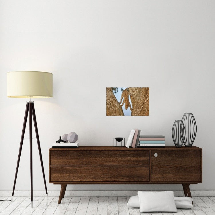 "Upside Down" Stretched Canvas Giclee by Alessandro Catta, 24"x16"