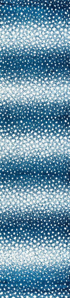 Antelope Modern Animal Navy/Cream 2 ft. x 8 ft. Runner Rug