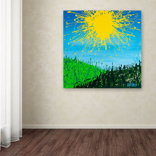 'Sun Valley' Canvas Art by Roderick Stevens