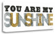 "You Are My Sunshine Silver Gold" By Michael Mullan, Gallery Wrap Canvas