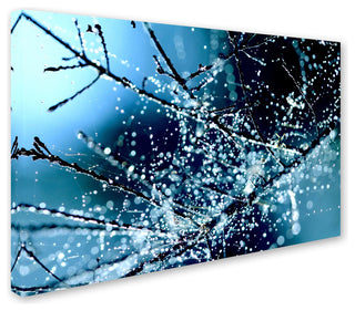 'Blue Rhapsody' Canvas Art by Beata Czyzowska Young