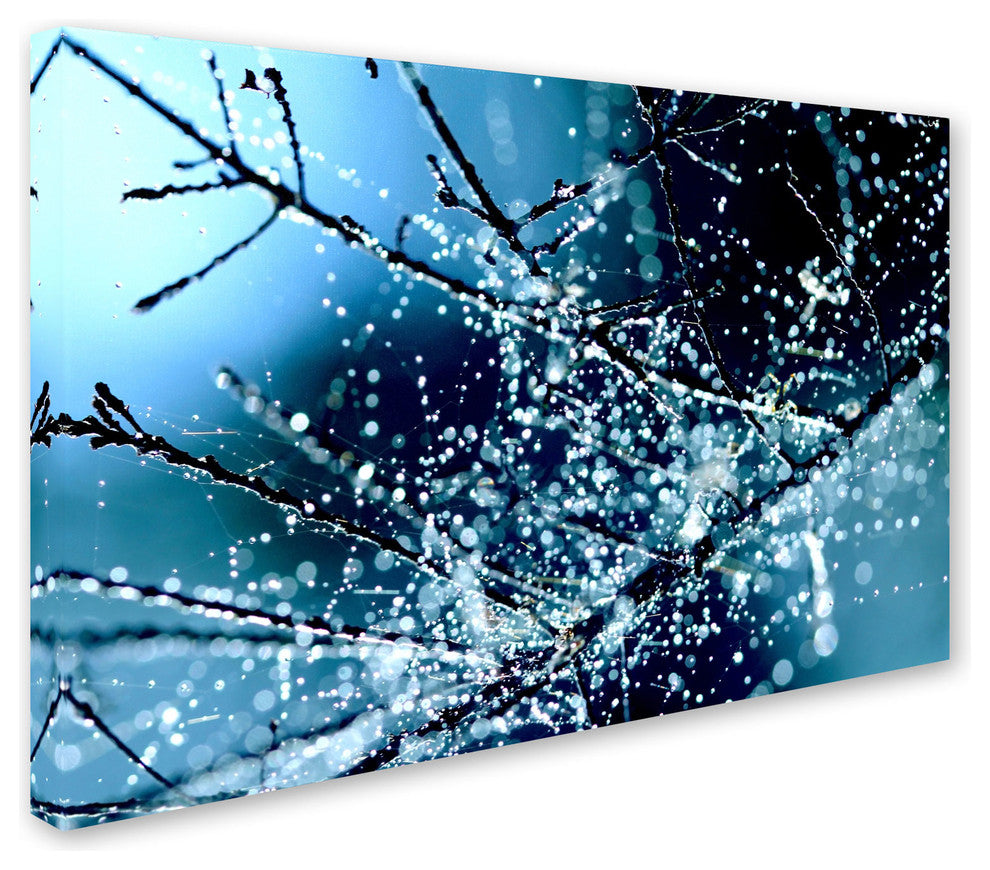 'Blue Rhapsody' Canvas Art by Beata Czyzowska Young
