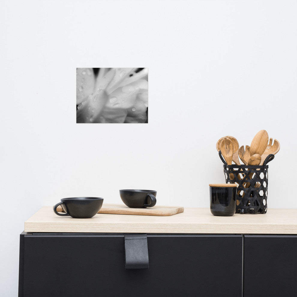 Delicate Rose Petals Floral Black & White Photo Unframed Wall Art Print, 8" X 10"