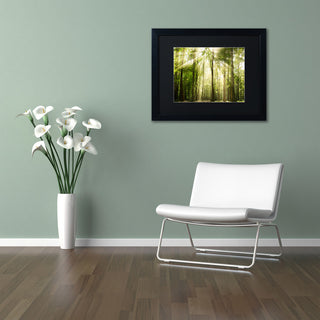 PIPA Fine Art 'Sunrays Through Treetops' Matted Framed Art, 20x16