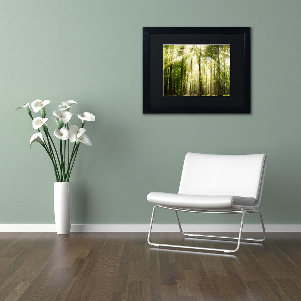 PIPA Fine Art 'Sunrays Through Treetops' Matted Framed Art, 20x16
