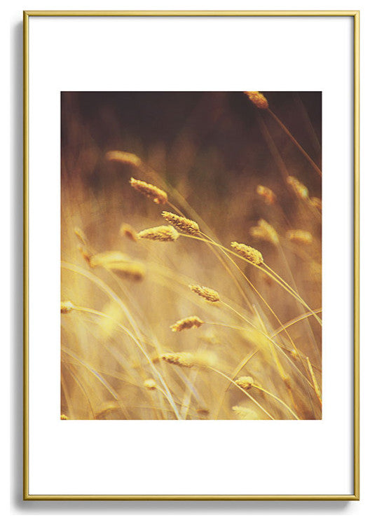 Shannon Clark Amber Metal Framed Art Print