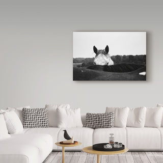Aledanda 'Flirt White Horse' Canvas Art