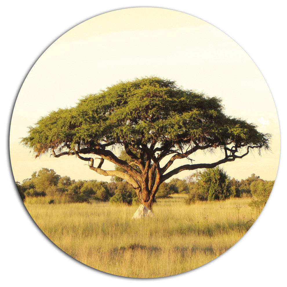 Acacia Tree On African Plain, African Landscape Disc Metal Artwork, 36"