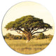 Acacia Tree On African Plain, African Landscape Disc Metal Artwork, 36"